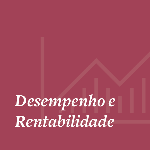 FJPartners - Desempenho e Rentabilidade