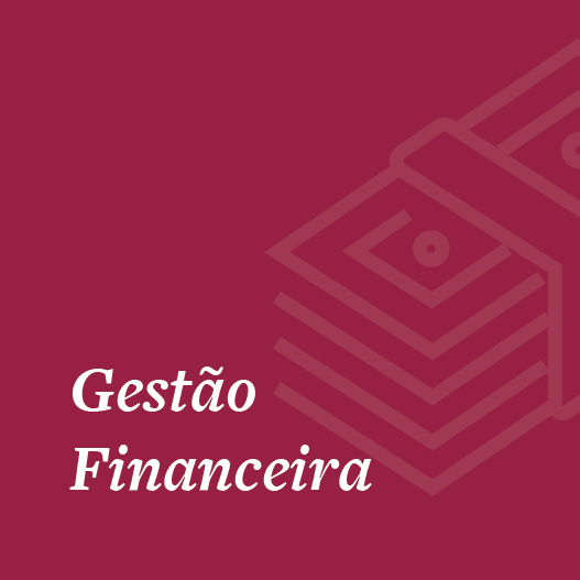 FJPartners - Gestão Financeira