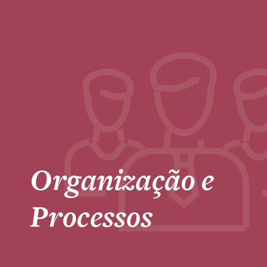 FJPartners - Organização e Processos